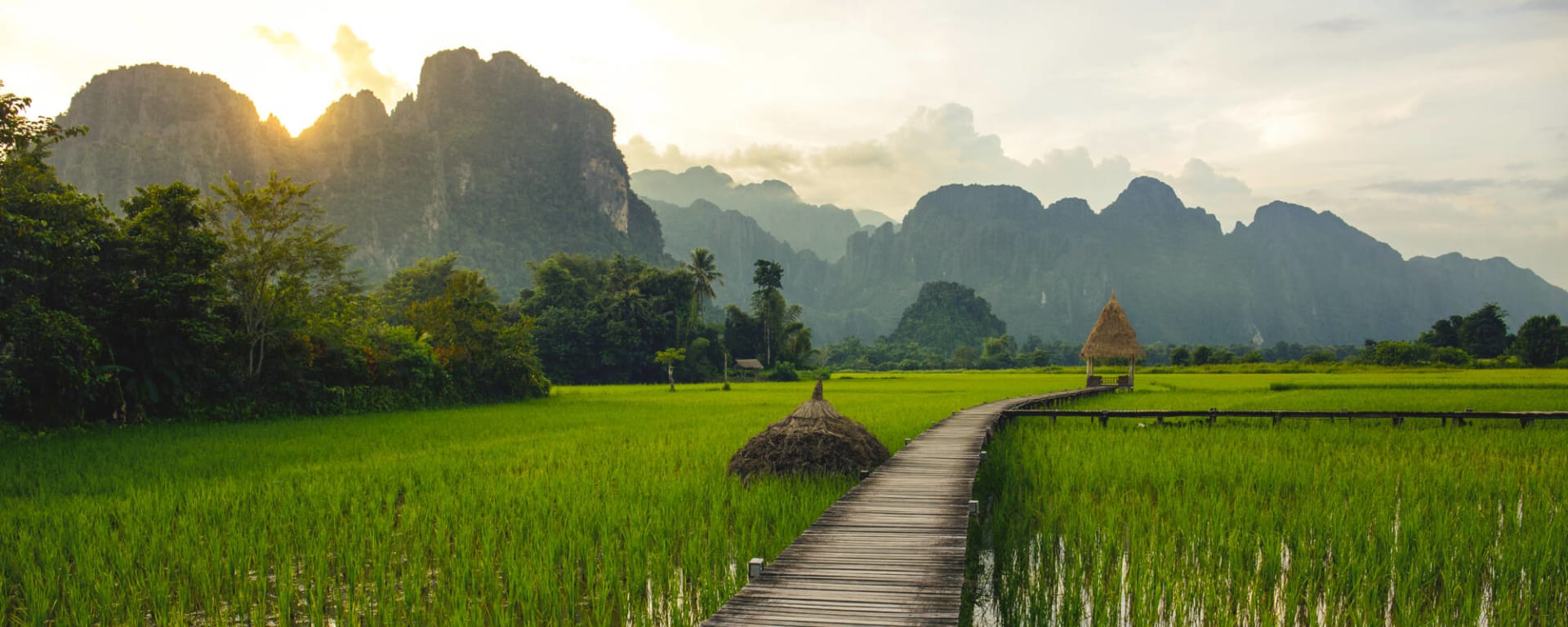 Überland von Luang Prabang nach Vientiane: Laos Vang Vieng Reisfeld 