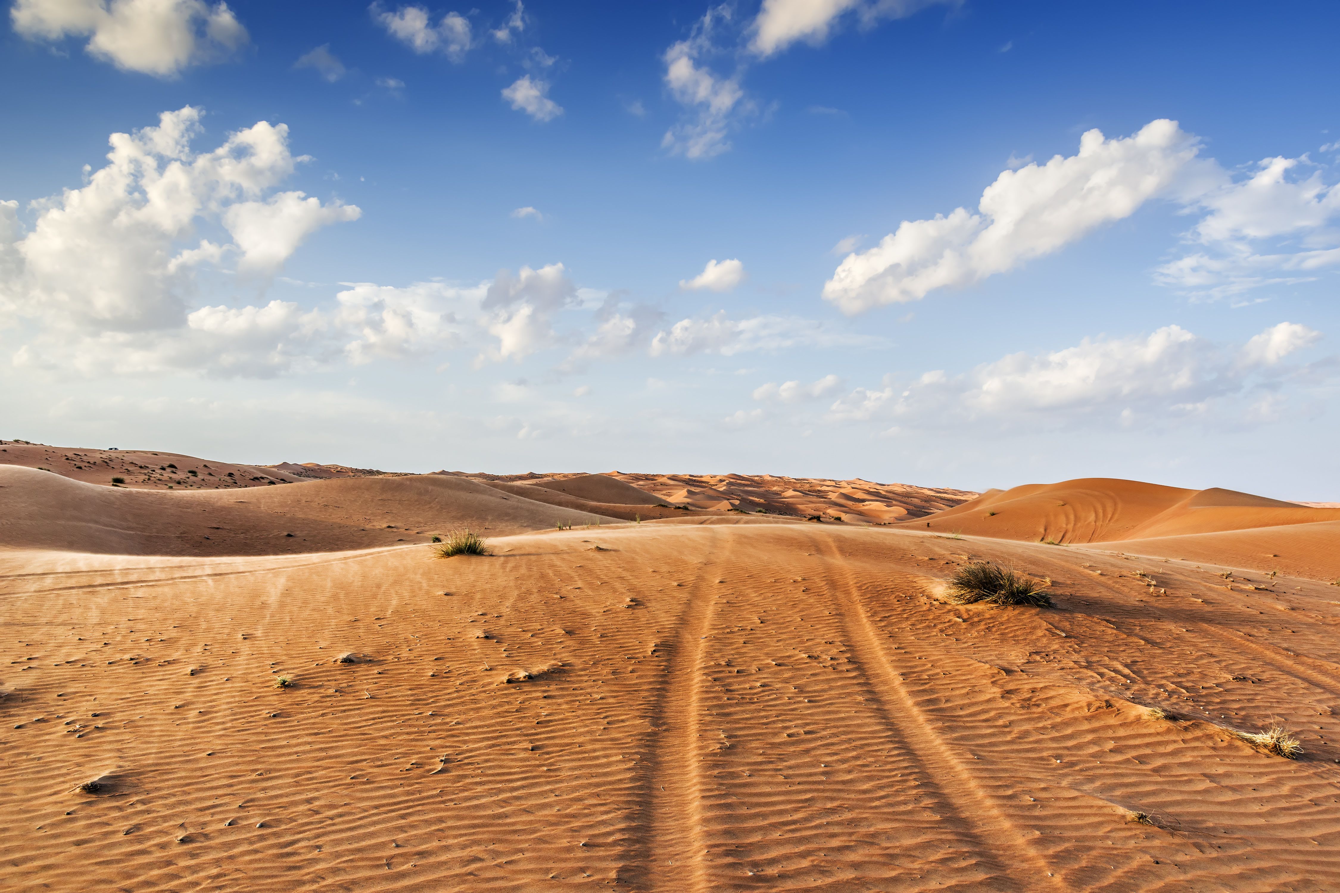 Offroad Abenteuer Oman ab Muscat: Oman Wahiba Sands