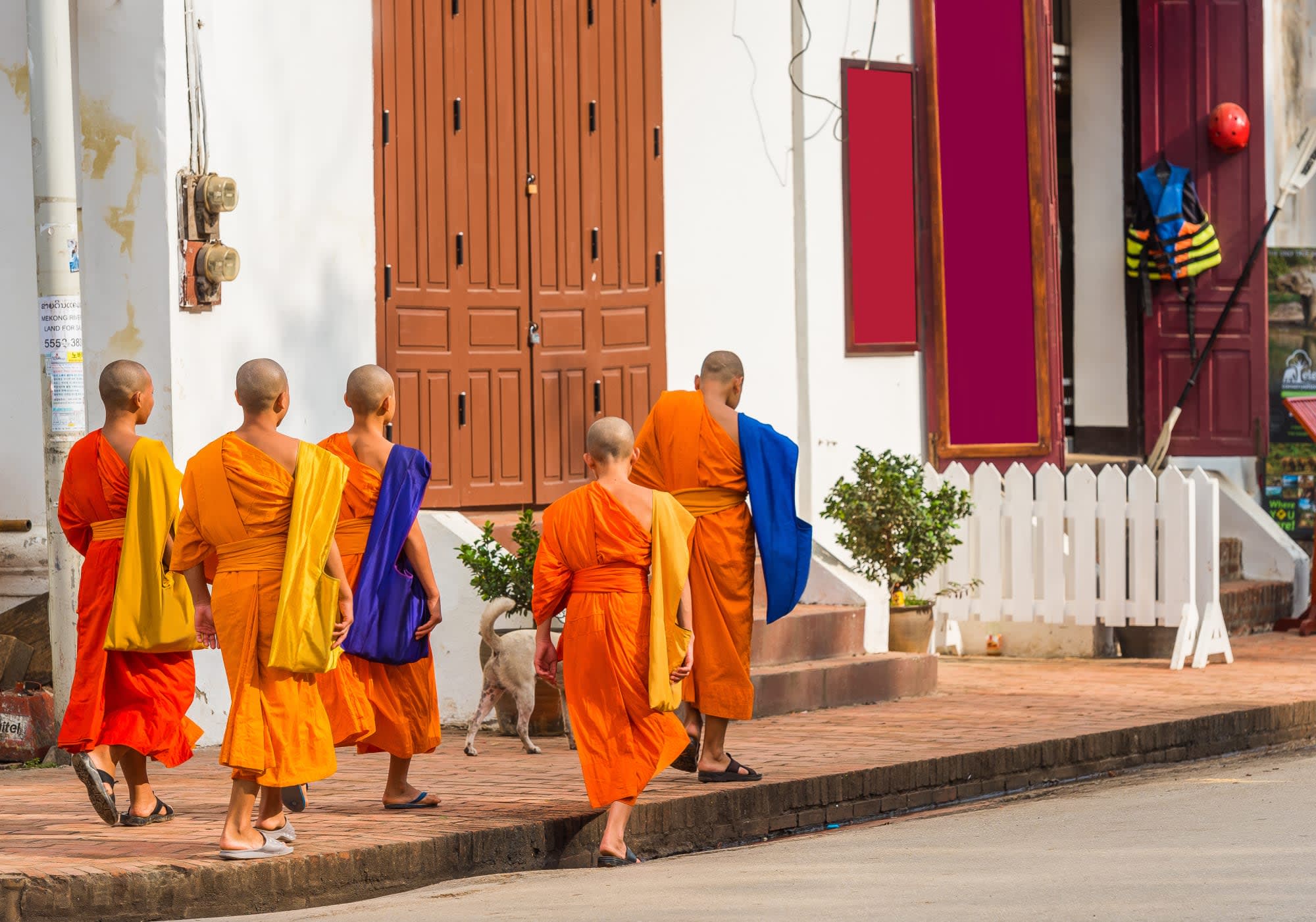 Luang Prabang Entdecken: Laos Luang Prabang Mönche