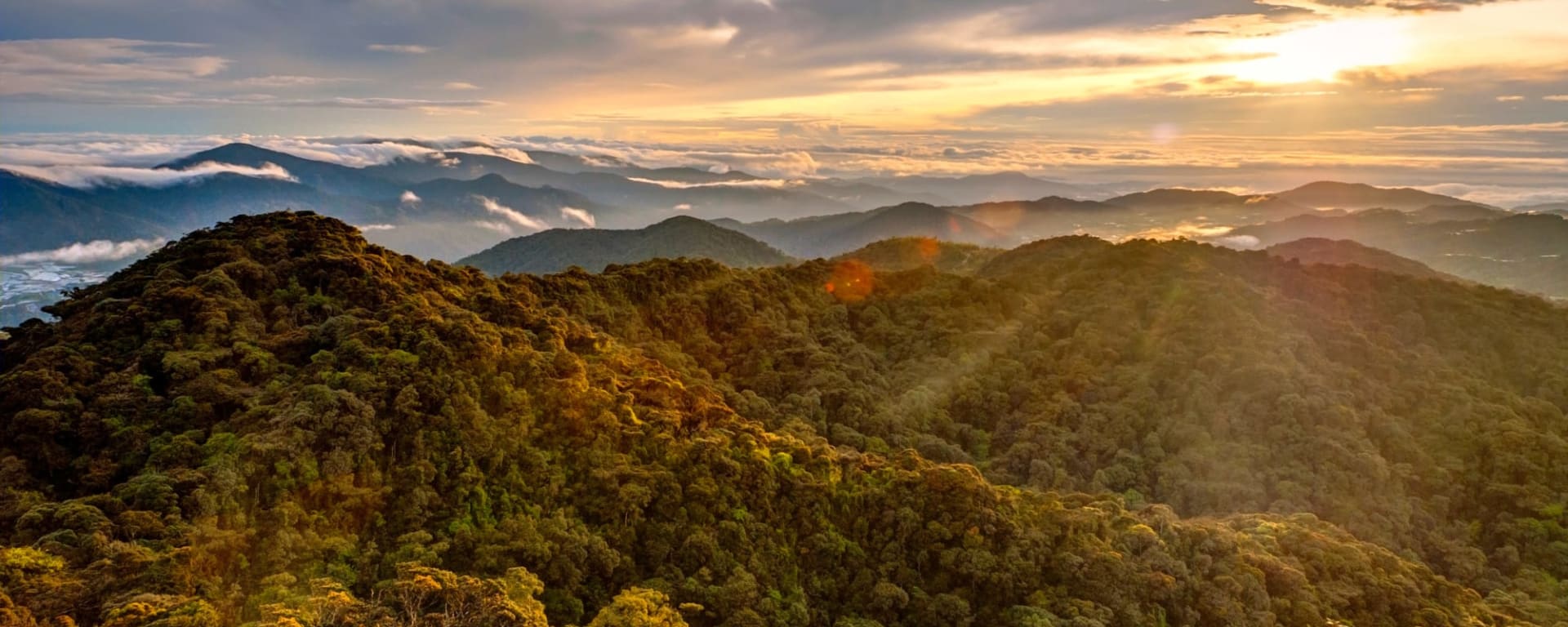 Cameron Highlands ab Kuala Lumpur: Malaysia Cameron Highlands