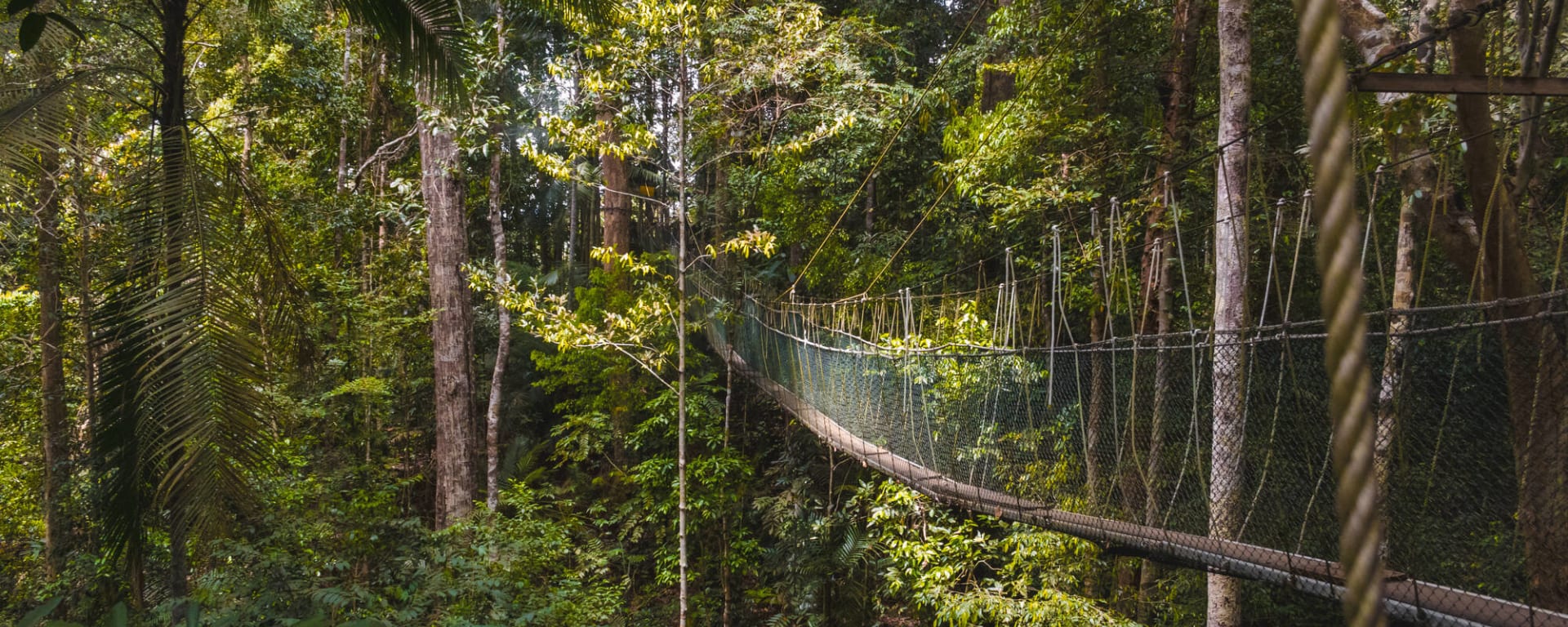 Taman Negara, Eigenanreise: Malaysia Taman Negara