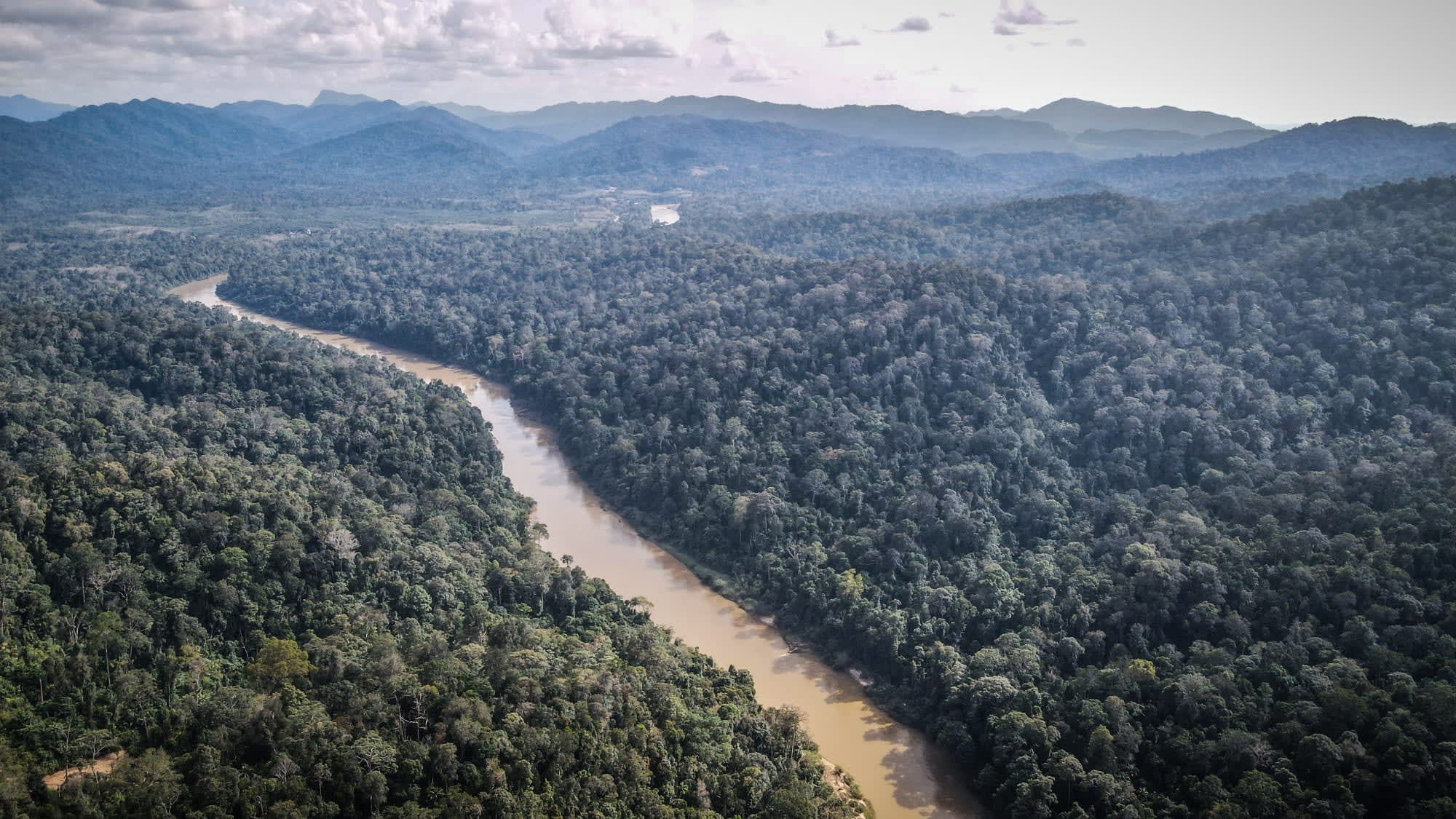Taman Negara Erlebnistour ab Kuala Lumpur: Malaysia Taman Negara