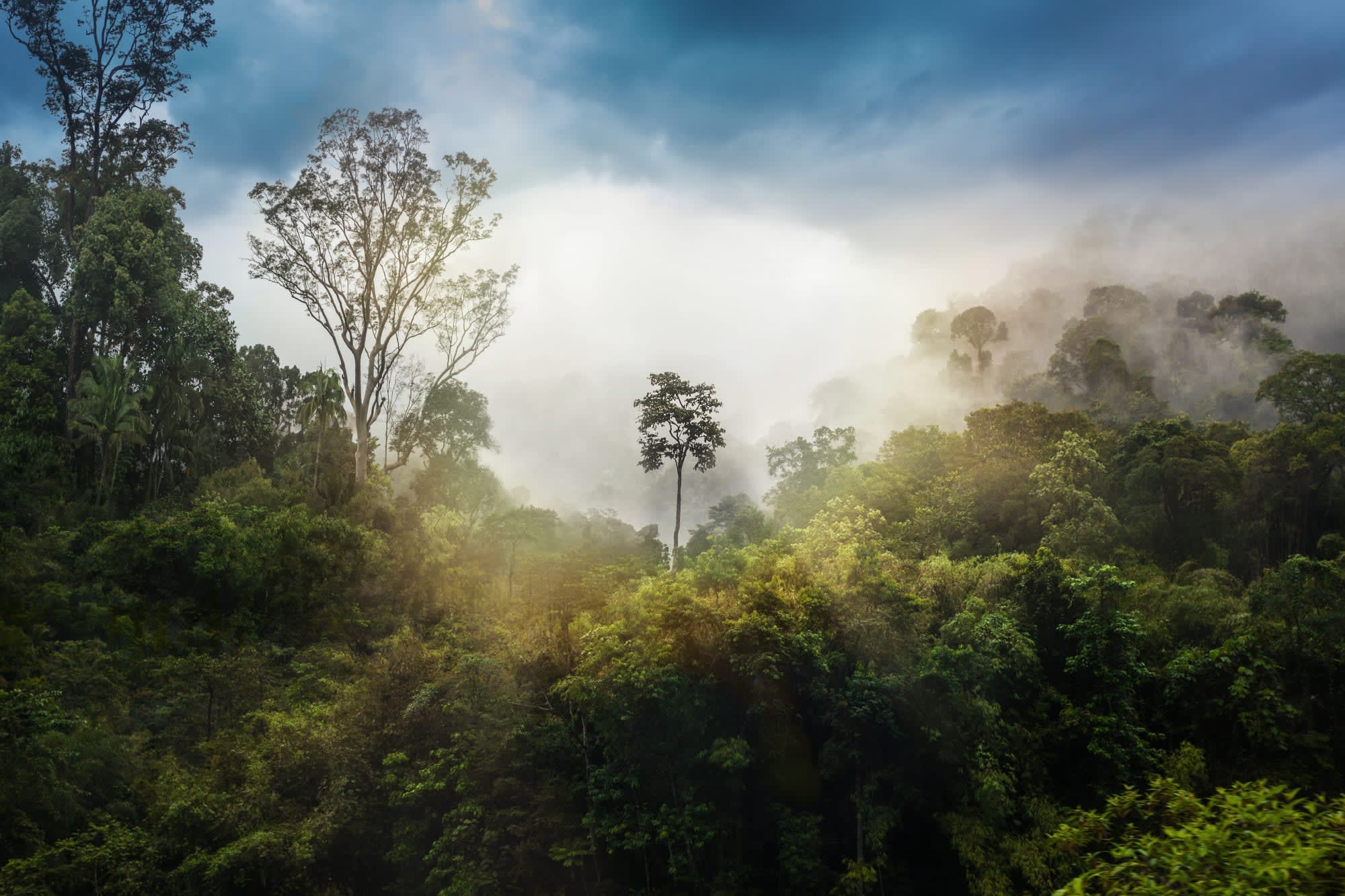 Taman Negara, Eigenanreise: Malaysia Taman Negara