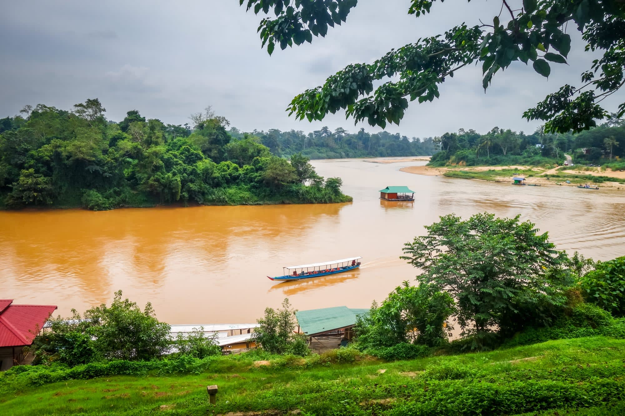 Taman Negara Erlebnistour ab Kuala Lumpur: Malaysia Taman Negara
