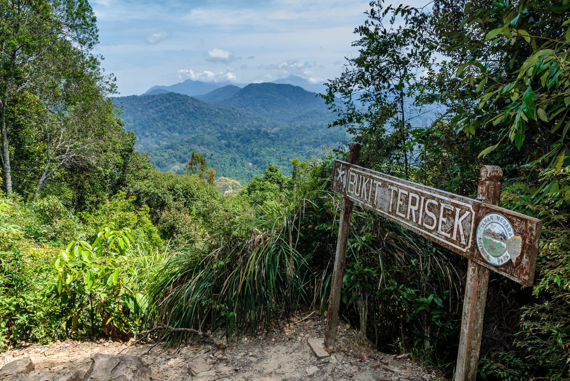 Taman Negara Erlebnistour ab Kuala Lumpur: Malaysia Taman Negara Teresek Hügel