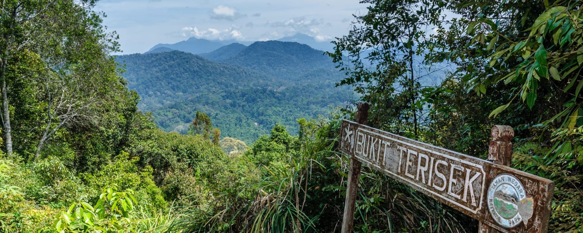Taman Negara Kurztour ab Kuala Lumpur: Malaysia Taman Negara Teresek Hügel
