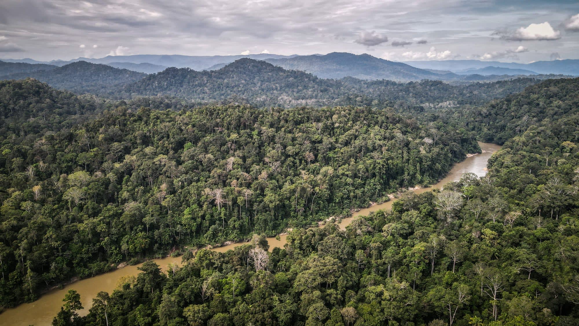 Taman Negara Kurztour ab Kuala Lumpur: Malaysia Taman Negara