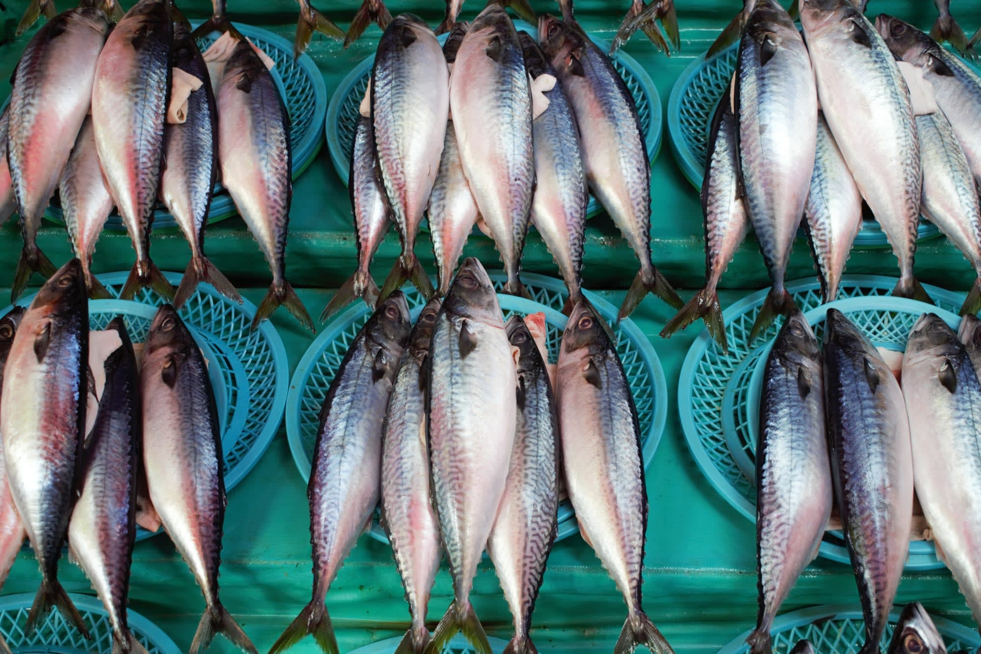 Höhepunkte im Land der Morgenstille inkl. Flug EK ab Seoul: Südkorea Busan Jagalchi Fischmarkt