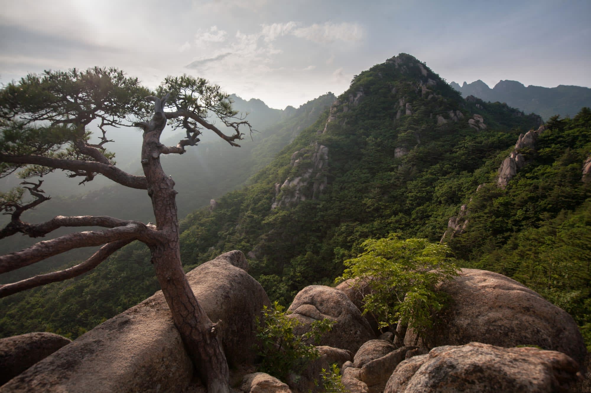 Höhepunkte im Land der Morgenstille inkl. Flug EK ab Seoul: Südkorea Gayasan National Park