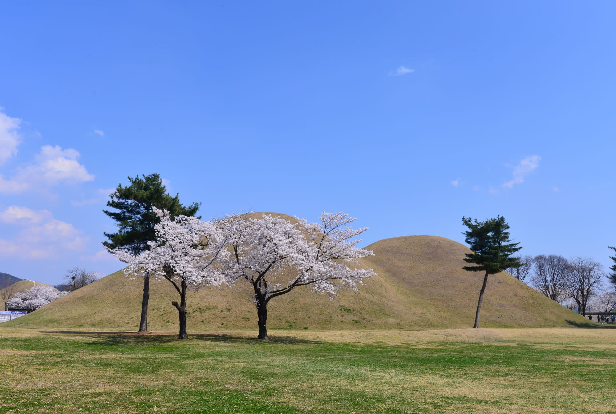 Höhepunkte im Land der Morgenstille inkl. Flug EK ab Seoul: Südkorea Gyeongju Hügelgräber