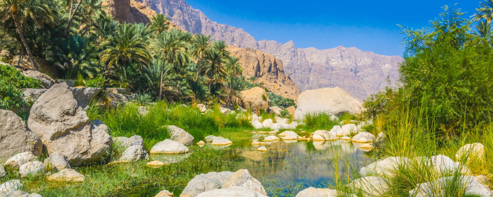 Natur & Kultur Oman ab Muscat: Oman Wadi Tiwi