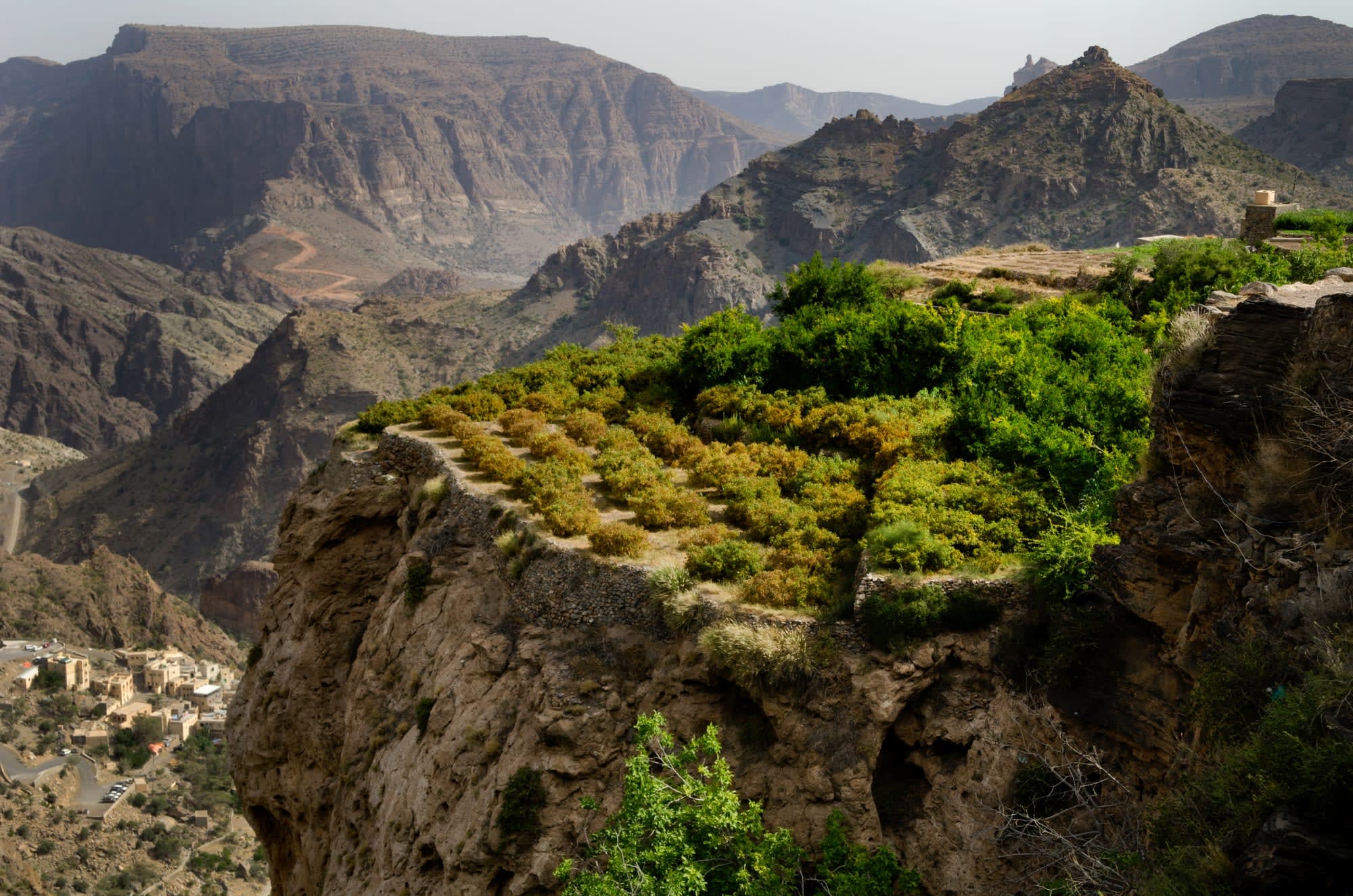 Oman Intensiv ab Muscat: Oman Jebel Akhdar