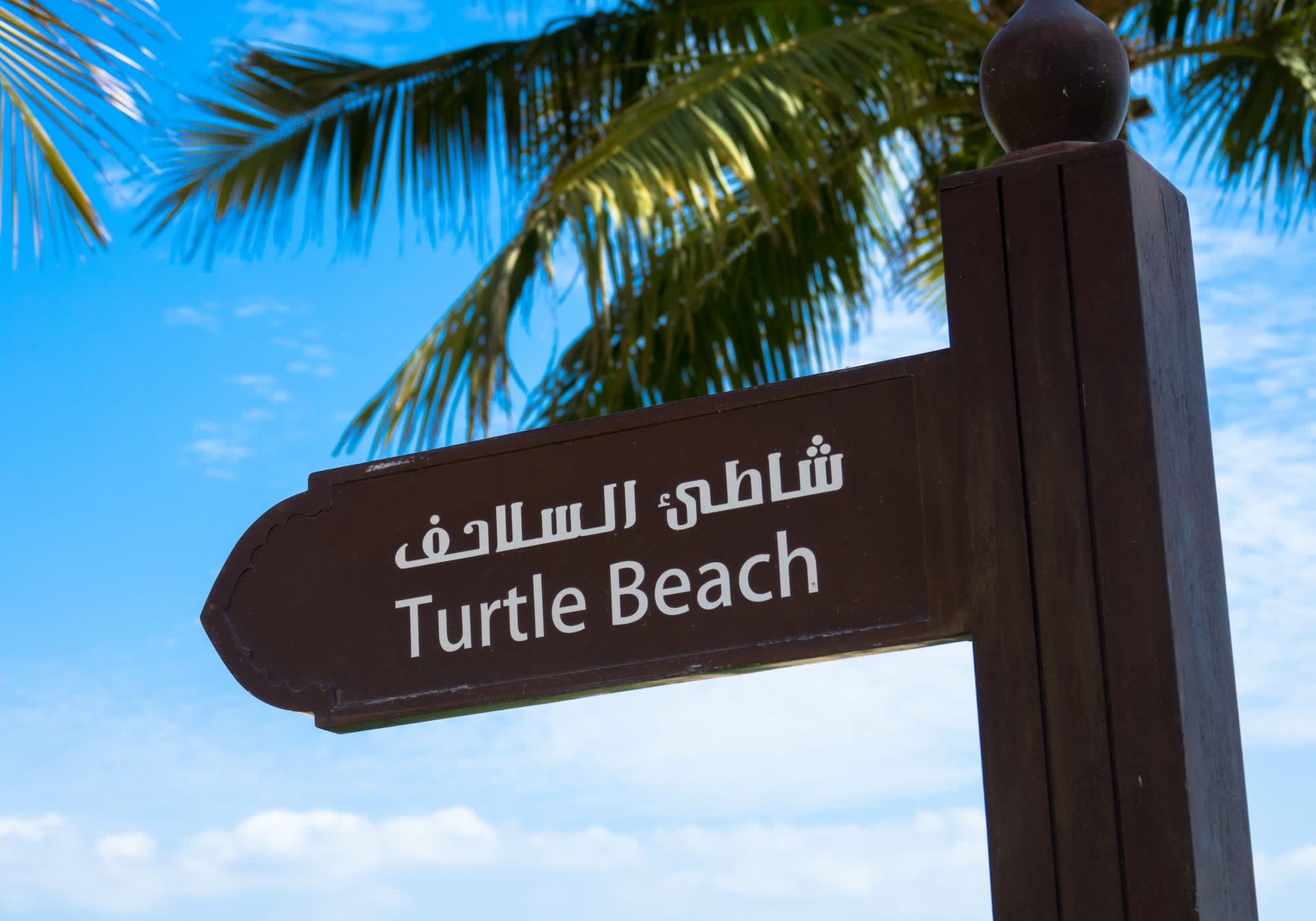 Familienabenteuer Oman ab Muscat: Oman Ras al Hadd