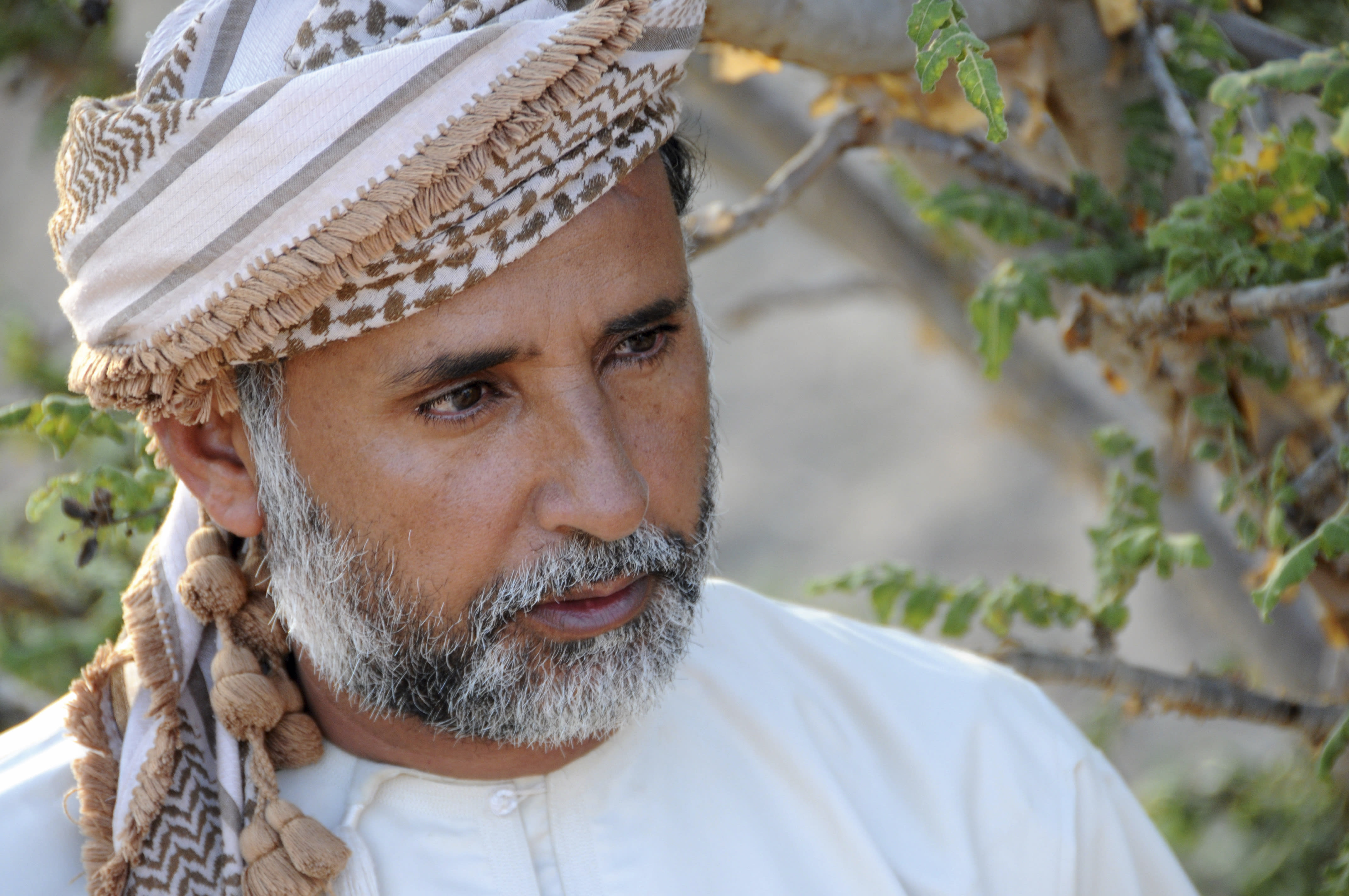 Oman Erleben ab Muscat: Omani