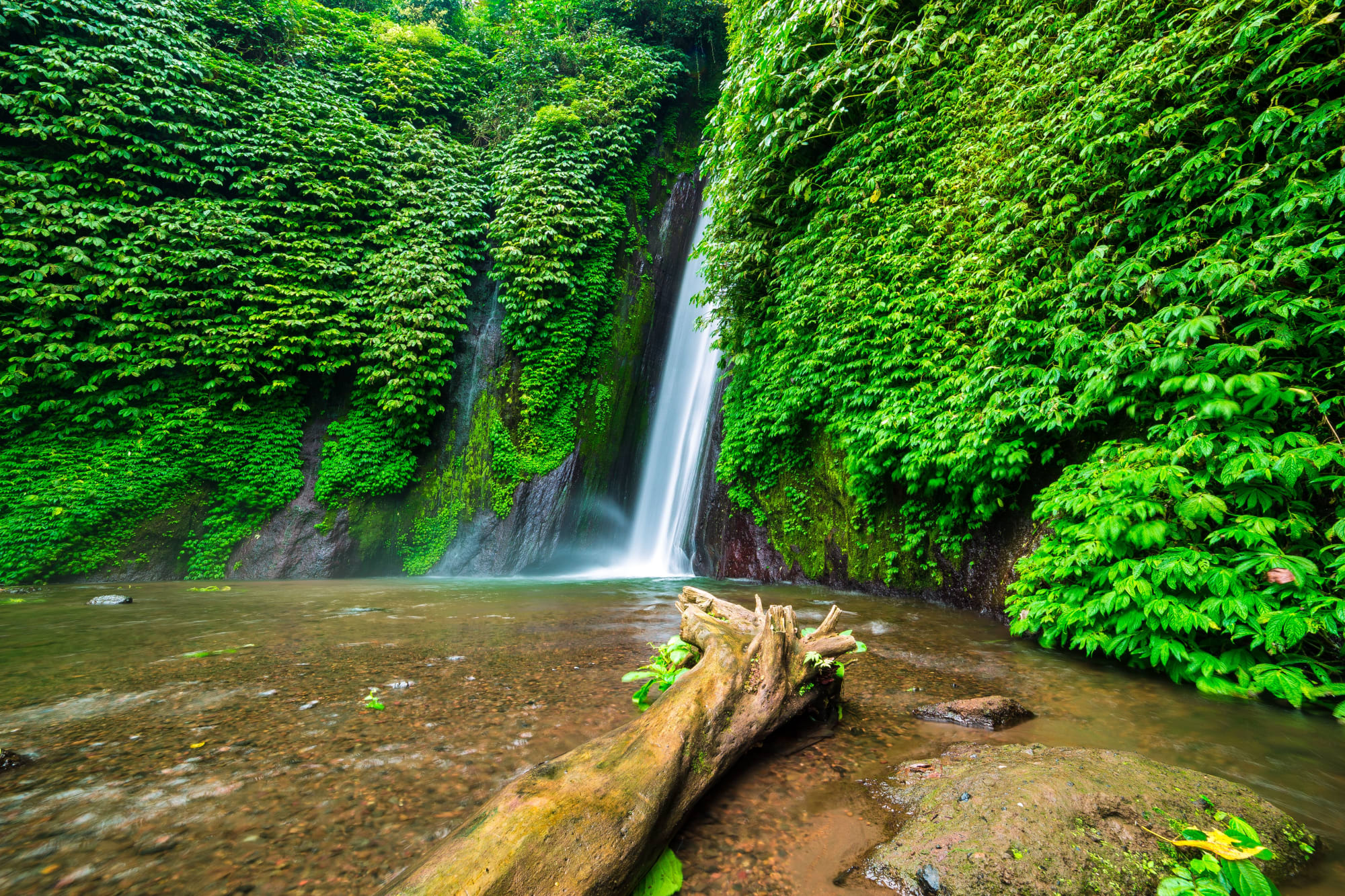 Höhepunkte Balis ab Süd-Bali: Indonesien Bali Munduk Wasserfall