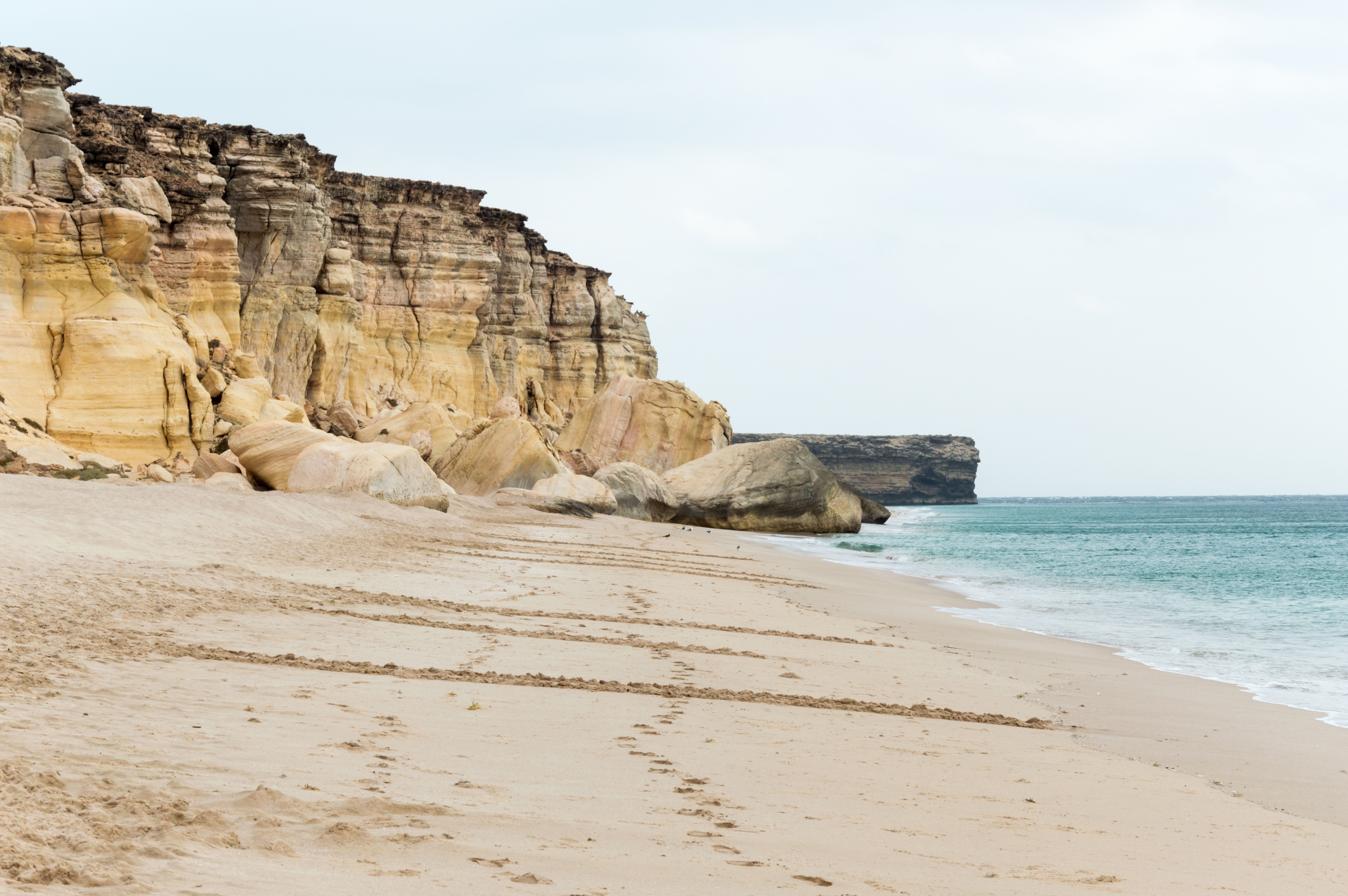 Offroad Abenteuer Oman ab Muscat: Oman Schildkrötenspuren im Sand