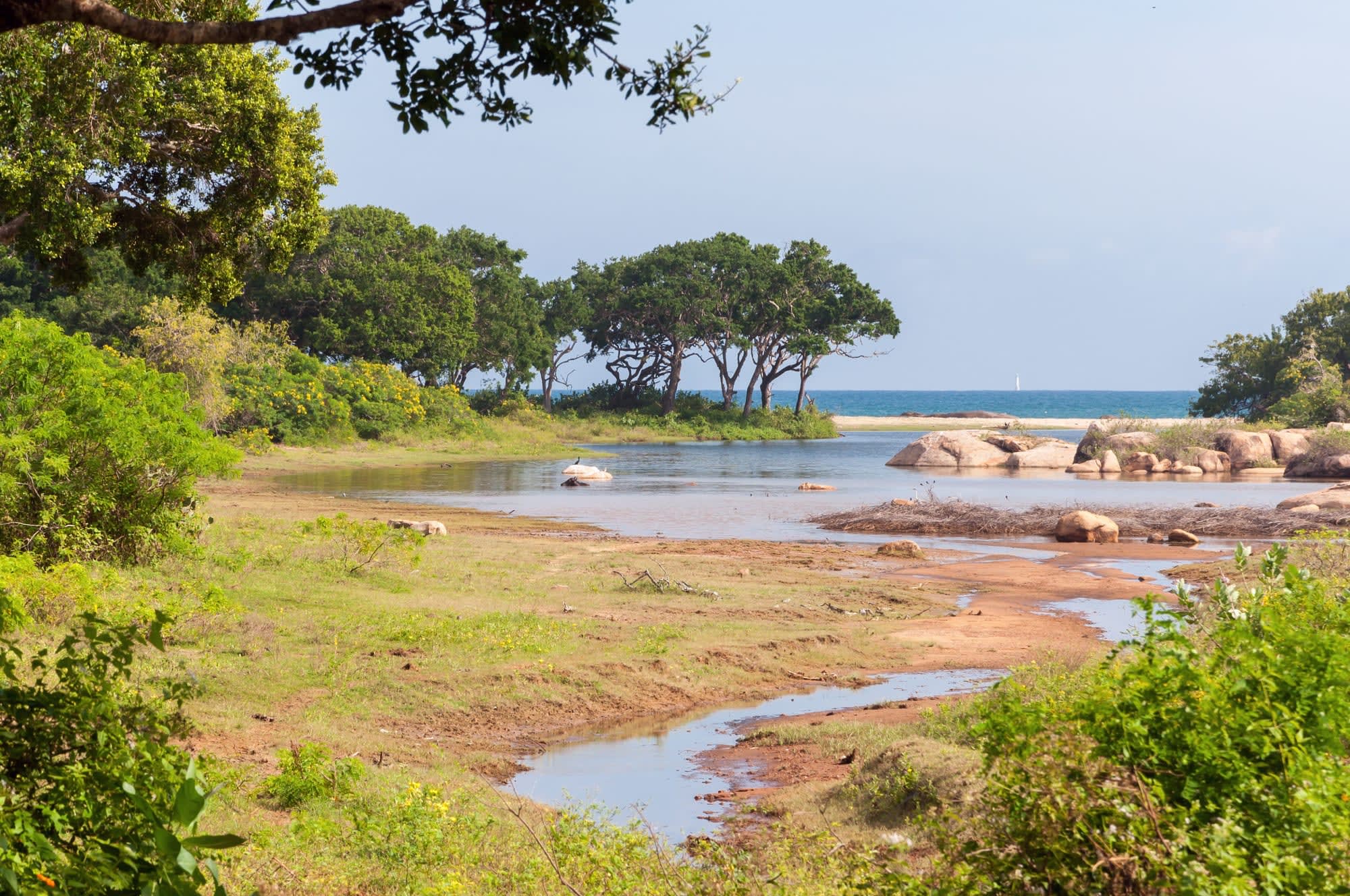 Klassisches Sri Lanka ab Colombo: Sri Lanka Yala Nationalpark
