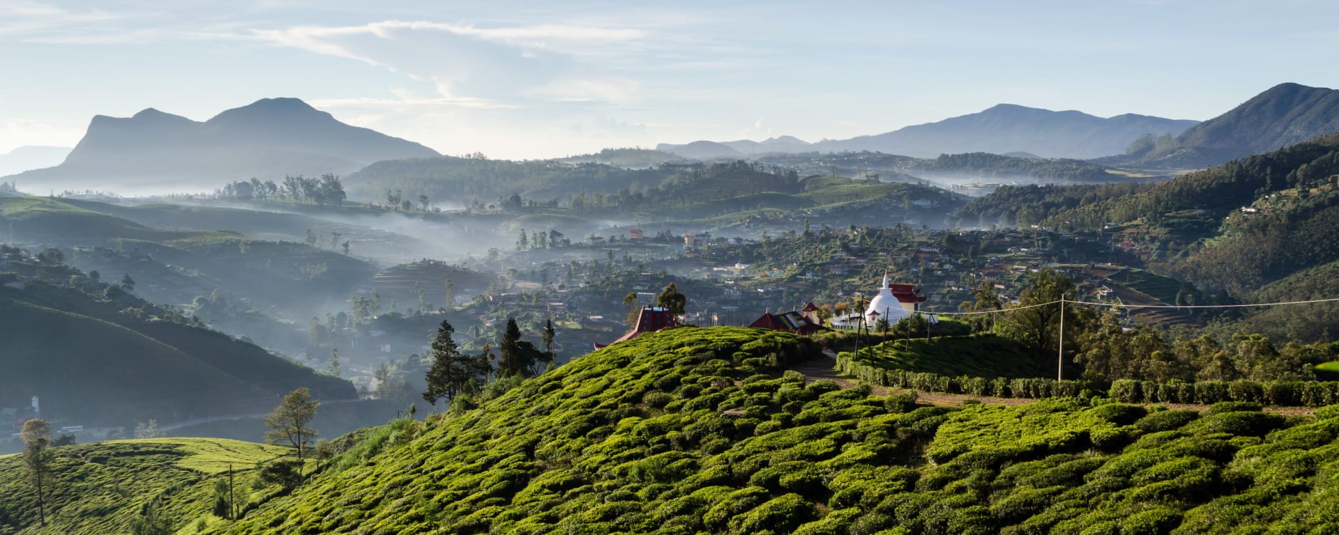 Naturpfade Sri Lankas ab Colombo: Sri Lanka Nuwara Eliya Teefelder