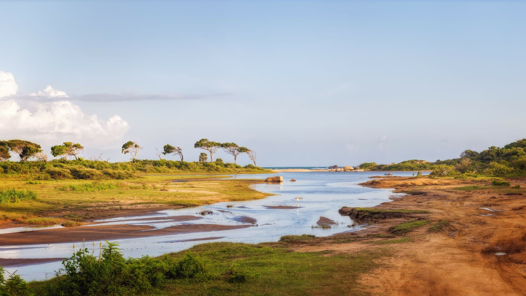 Naturpfade Sri Lankas ab Colombo: Sri Lanka Yala Nationalpark