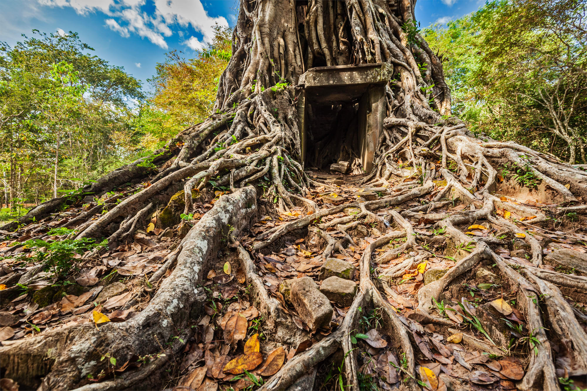 Überland von Phnom Penh nach Angkor: Kambodscha Kampong Thom Sambor Prei Kuk