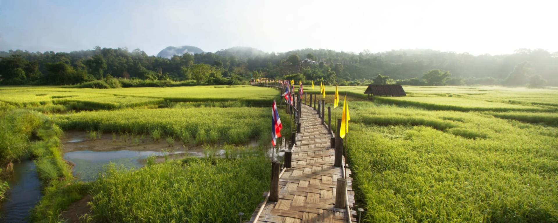 Faszinierendes Mae Hong Son ab Chiang Mai: Thailand Mae Hong Son Reisfeld