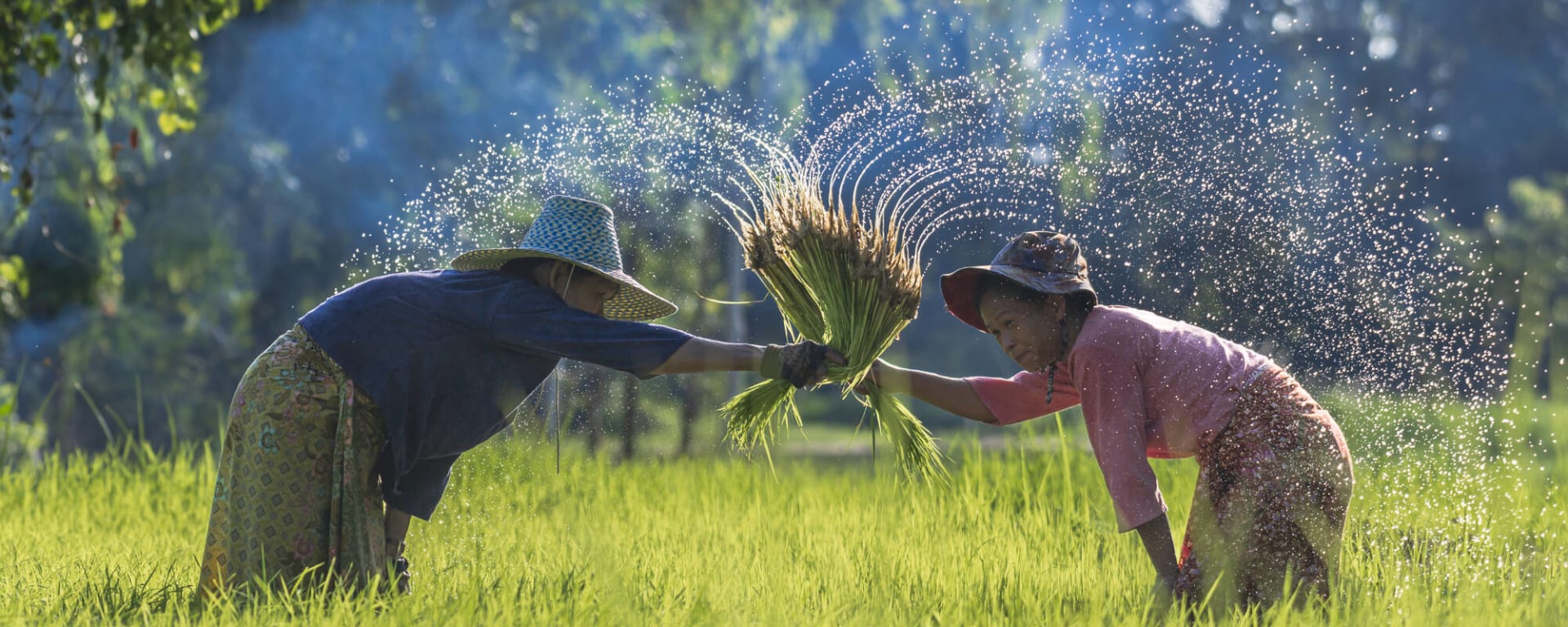 Mietwagenreise Mae Hong Son ab Chiang Mai: Thailand Norden Reisbauern