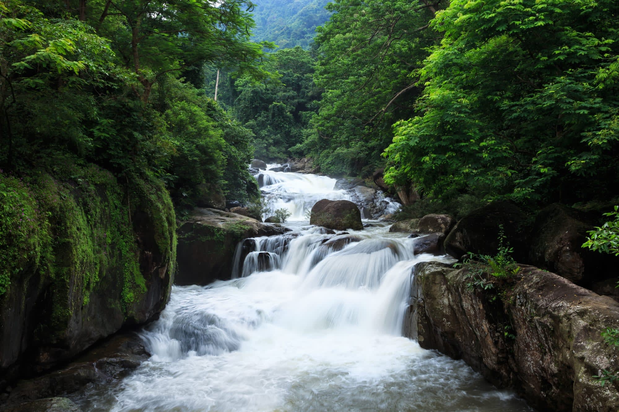 Isan - der verborgene Schatz Thailands ab Bangkok: Thailand Khao Yai Nationalpark