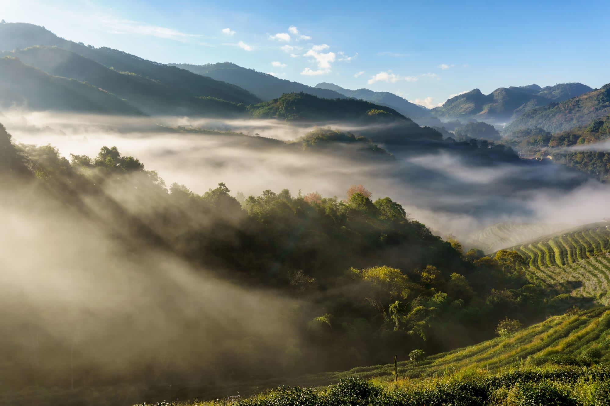 Das Goldene Dreieck ab Chiang Mai: Thailand Chiang Mai Umgebung