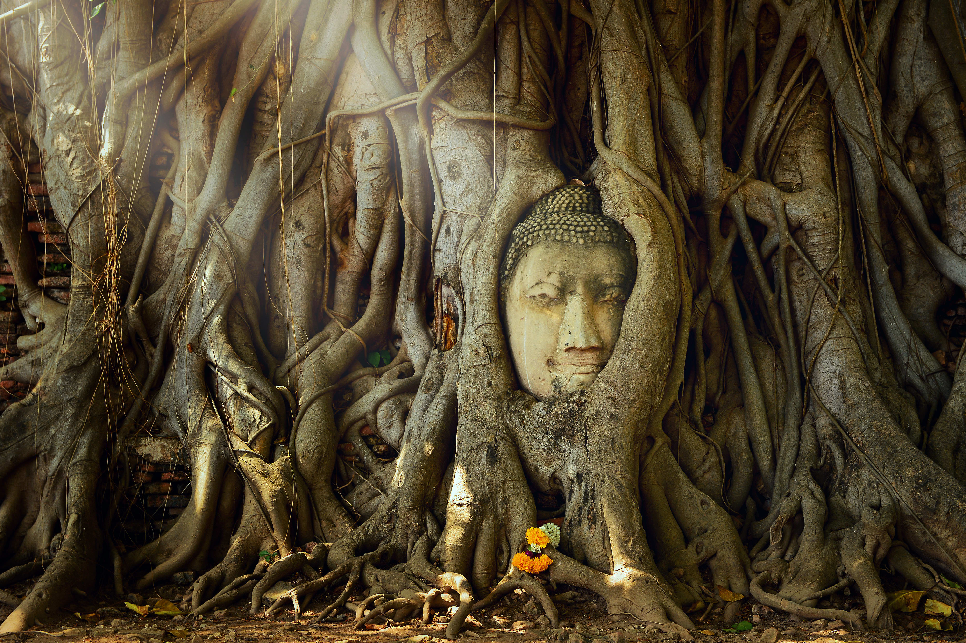 Große Thailand Mietwagenreise ab Bangkok: Thailand Ayutthaya Wat Mahathat