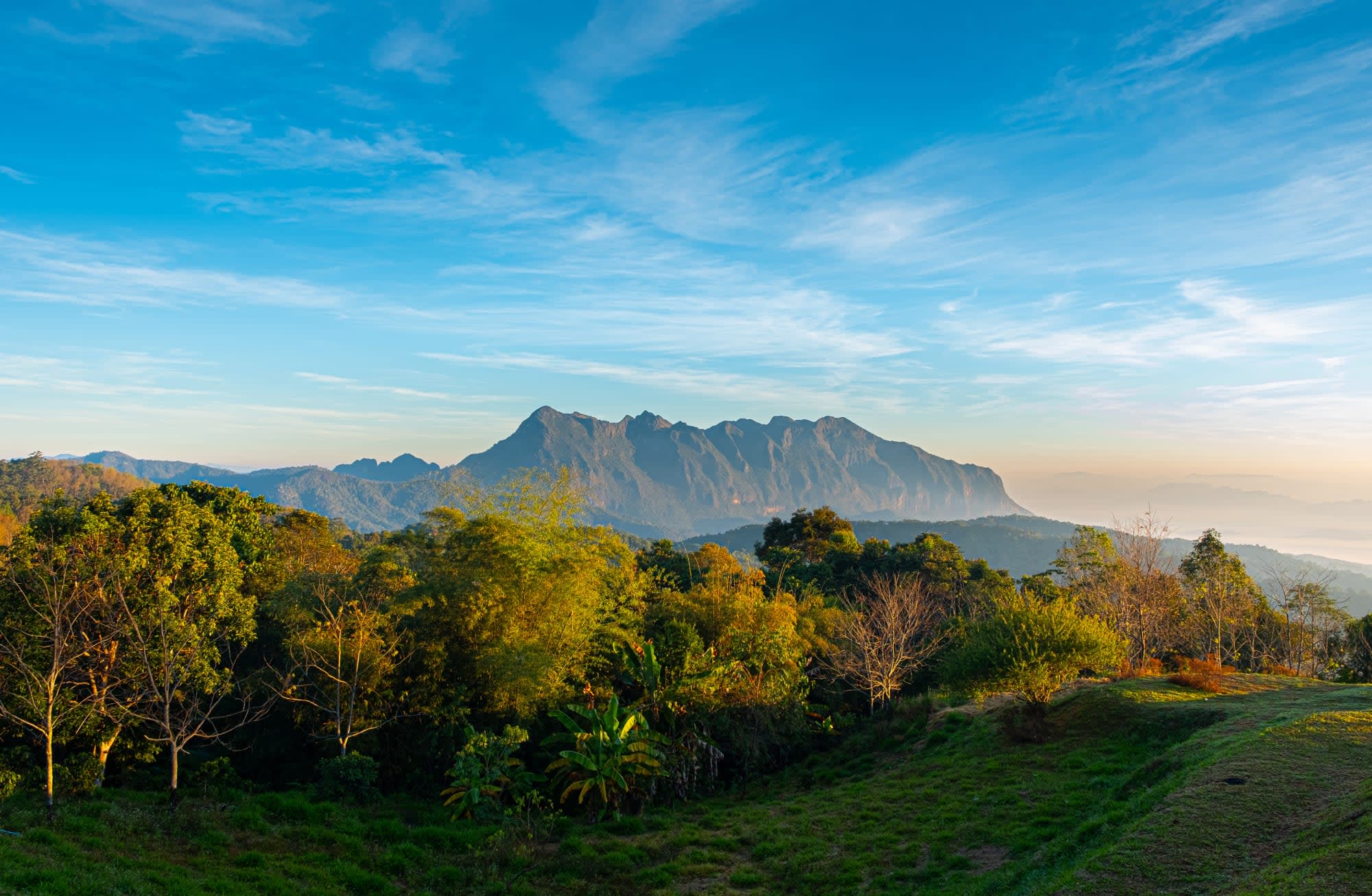Mietwagenreise Goldenes Dreieck ab Chiang Mai: Thailand Chiang Dao