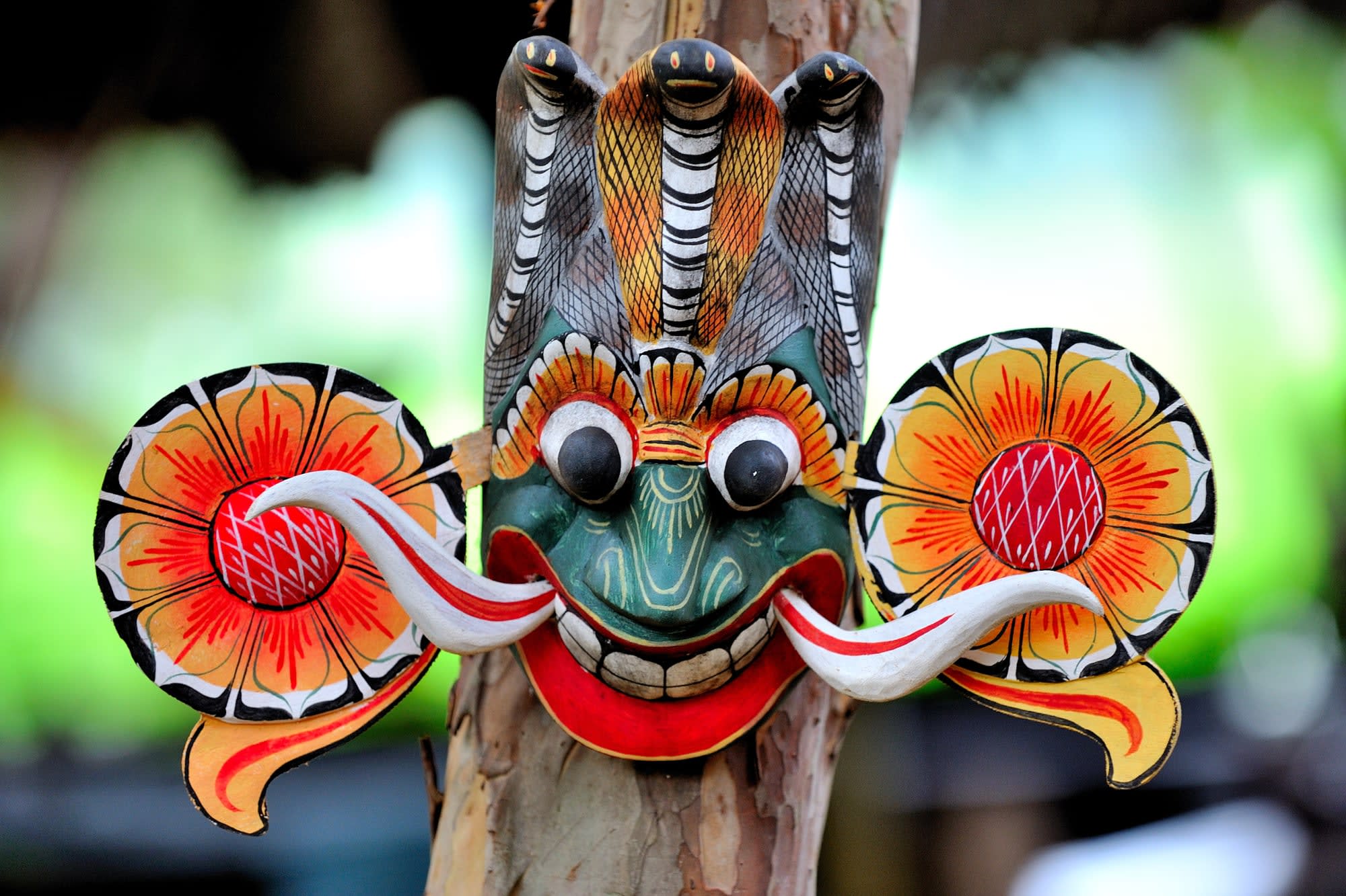 Höhepunkte Sri Lankas ab Colombo: Sri Lanka Maske