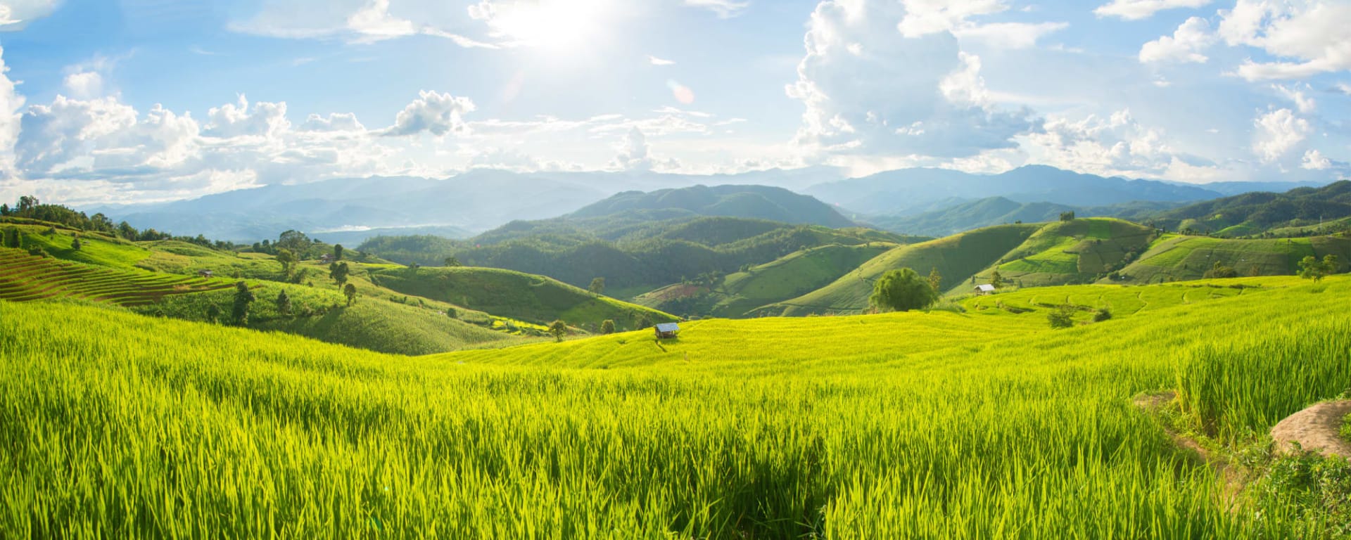 Das Goldene Dreieck ab Chiang Mai: Thailand Chiang Mai Landschaft
