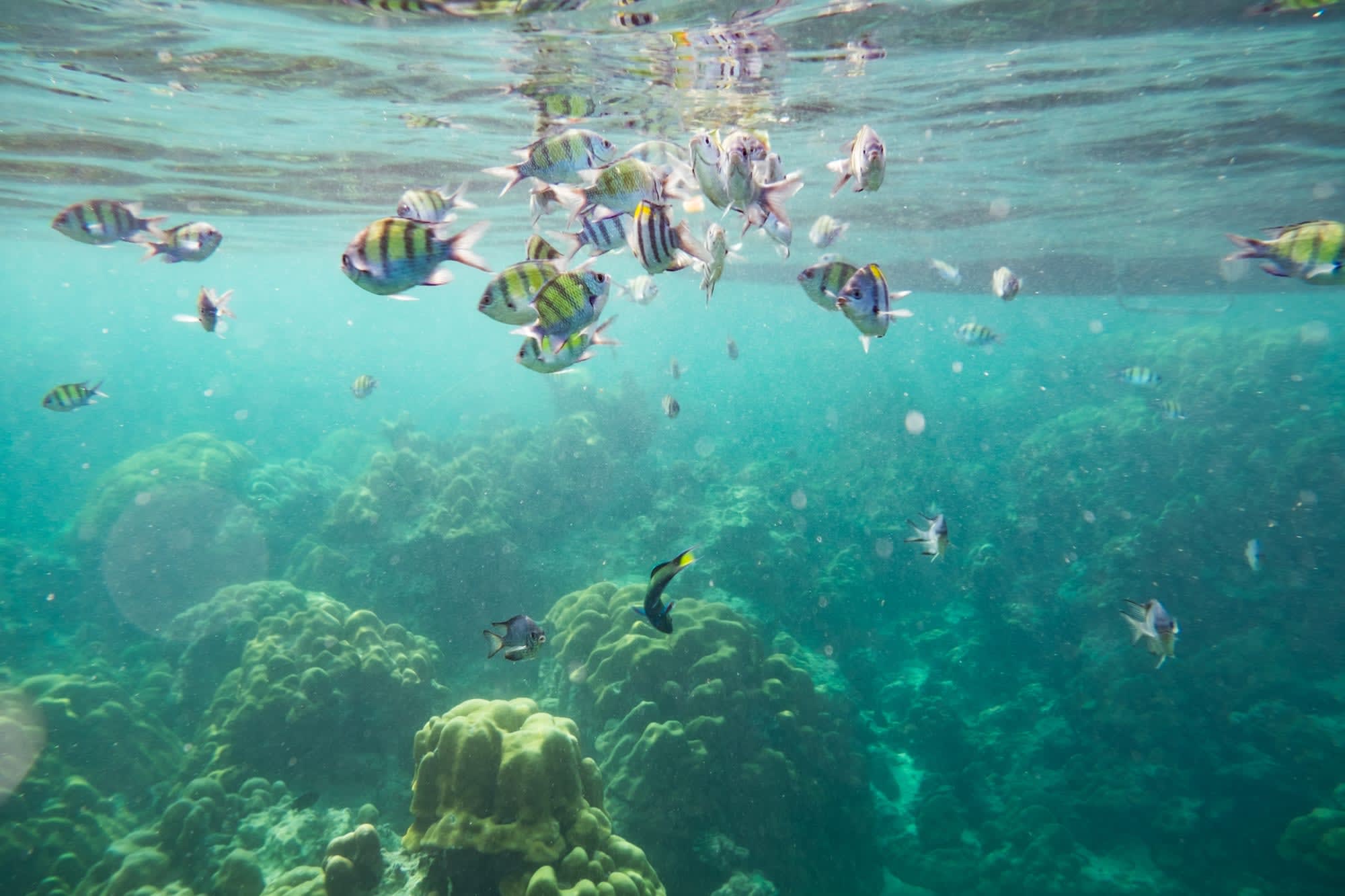 Inselhüpfen Südthailand ab Krabi: Thailand Andamanen-See 