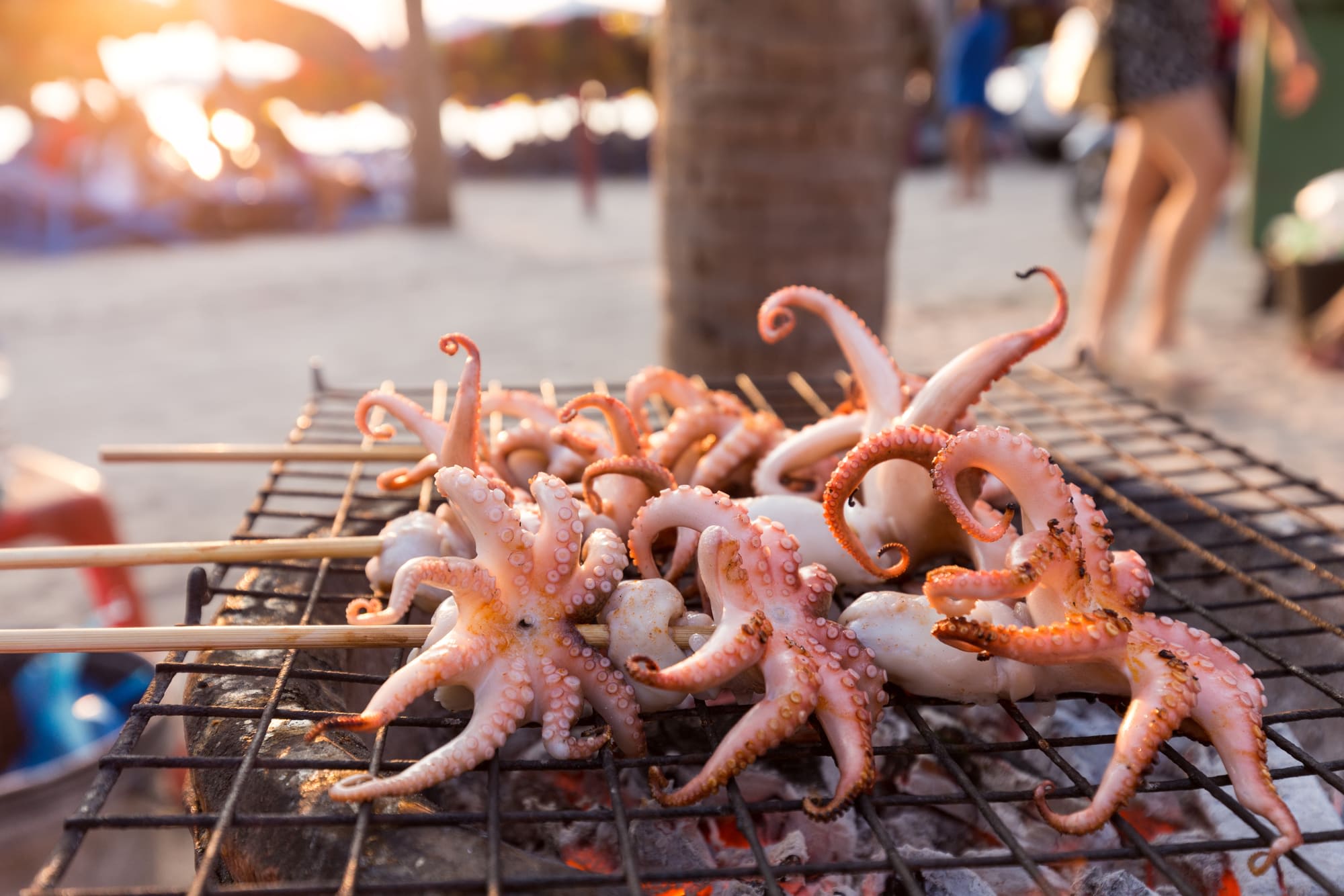 Inselhüpfen Südthailand ab Krabi: Thailand Gegrillter Tintenfisch