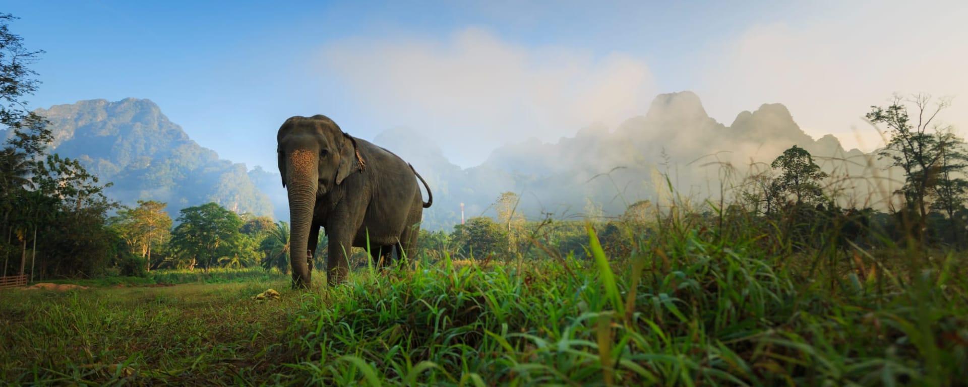 Kurz-Safari The Elephant Hills Camp ab Phuket: Thailand Khao Sok Nationalpark Elephant Hills Camp