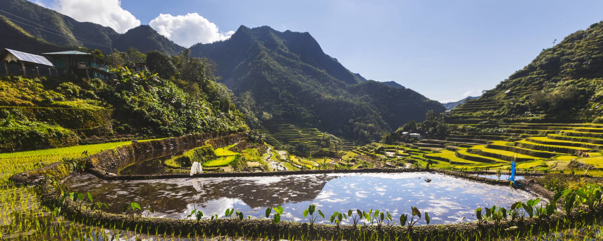 Reisterrassen & Bergwelten Nord-Luzons ab Manila: Philippinen Luzon Reisterrassen