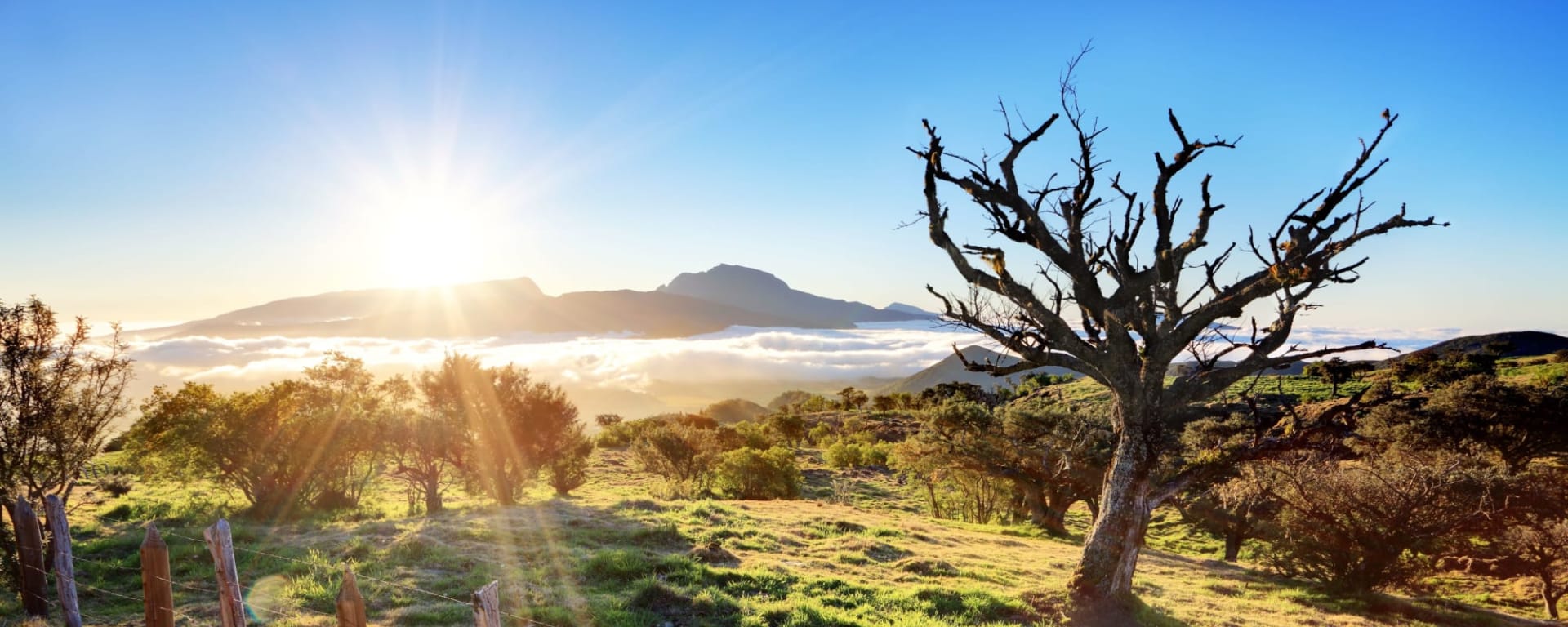 Facettenreiches La Réunion ab Küstenregion: Reunion La Plaine des Cafres 