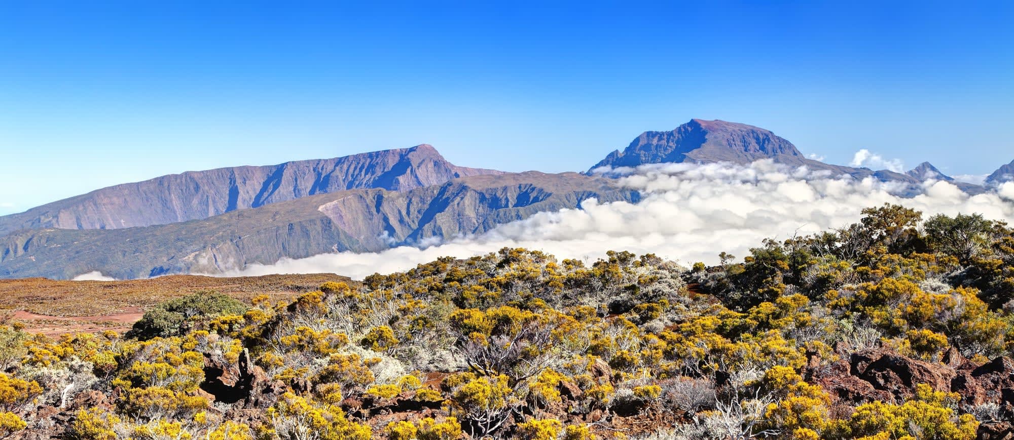 Trekking Tour La Réunion ab Küstenregion: Reunion Piton des Neiges Bergpanorama