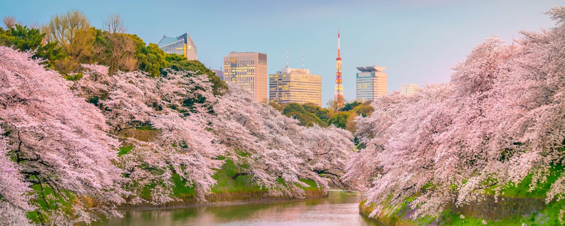 Japan individuell mit dem Zug ab Tokio: Japan Tokio Chidorigafuchi Park