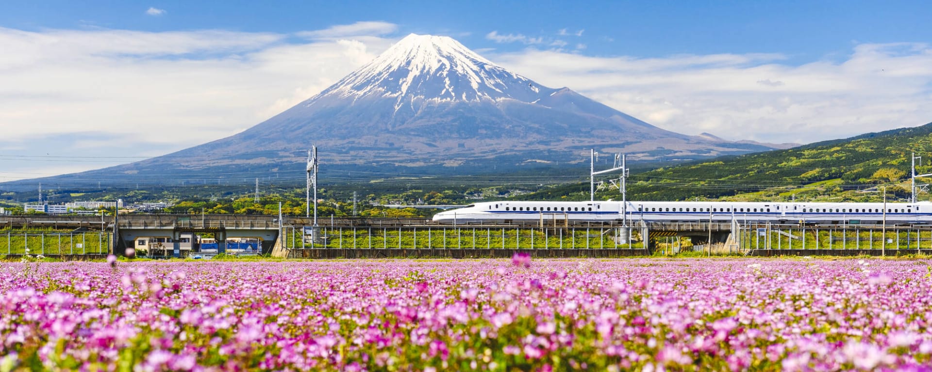 Japan individuell mit dem Zug ab Tokio: Japan Shinkansen Mount Fuji