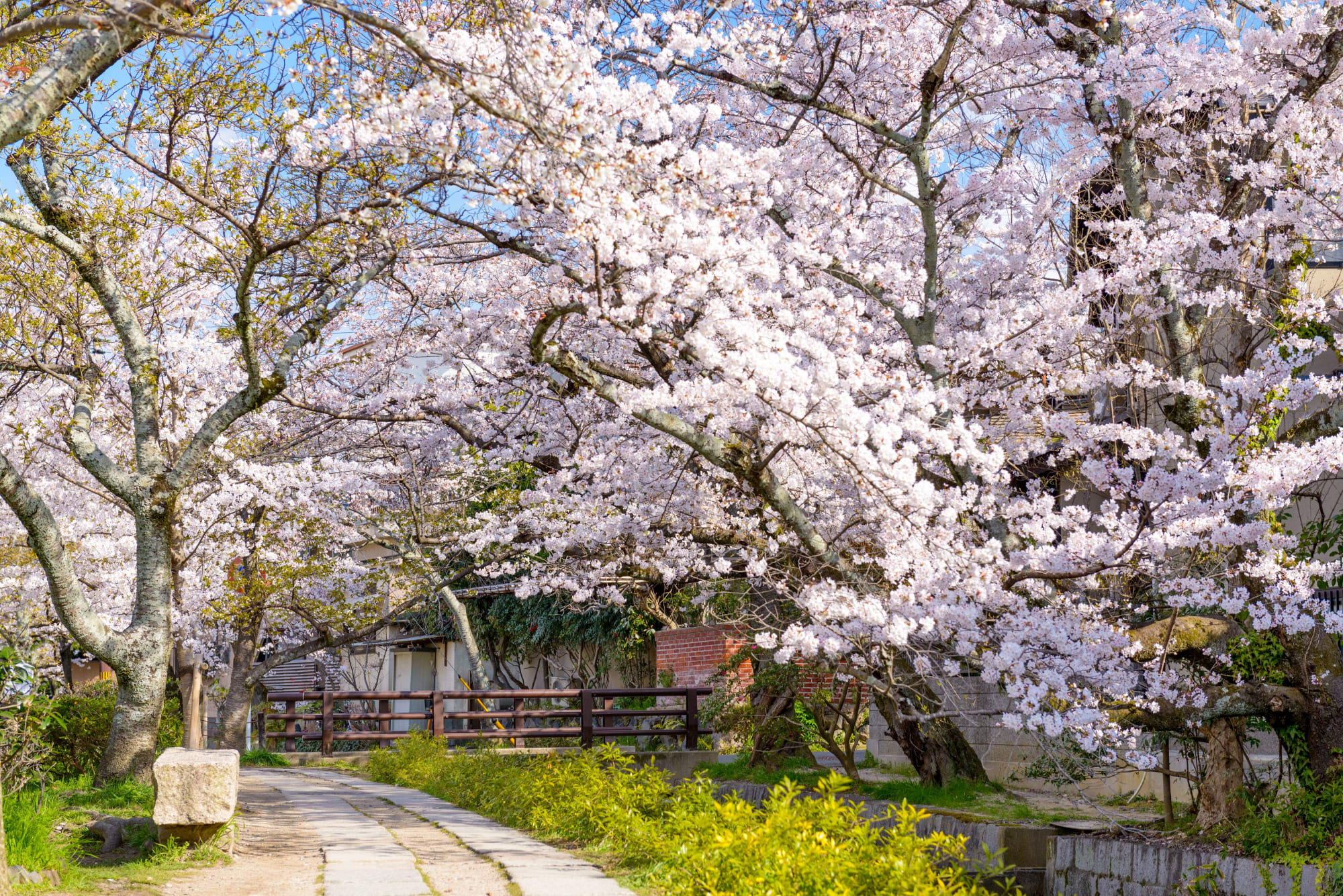 ZEN - Japan entspannt erleben ab Kyoto: Japan Kyoto Philosophenweg 