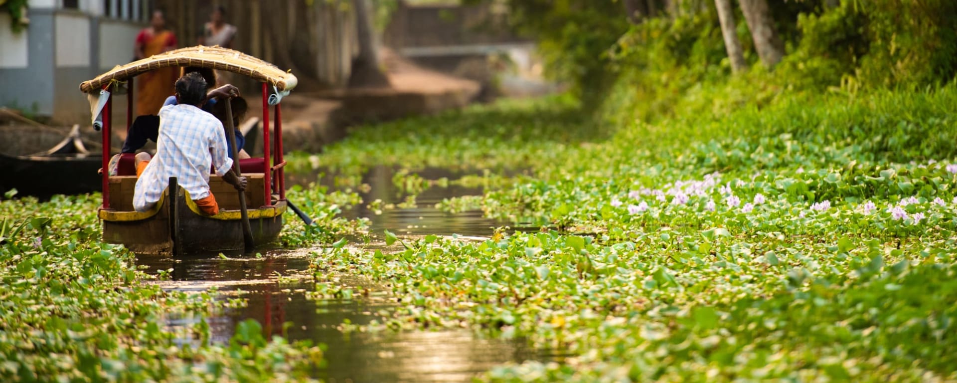 Streifzug durch Südindien ab Karnataka | Bengaluru: Indien Kerala Backwaters