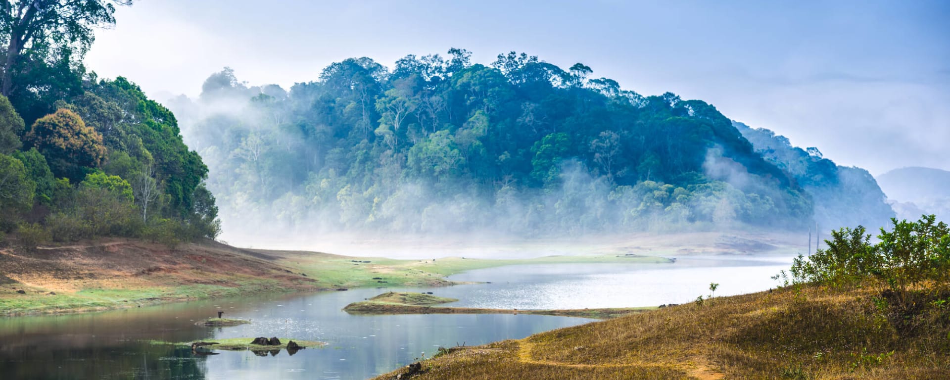 Juwelen Südindiens ab Kerala | Malabarküste | Kochi: Indien Periyar Nationalpark