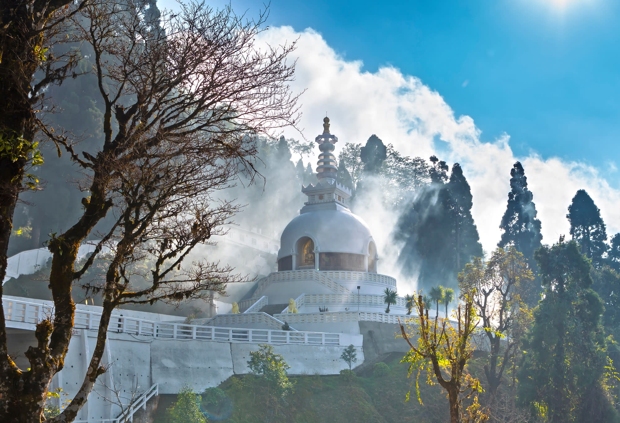 Faszinierendes Sikkim & Darjeeling ab Sikkim | Darjeeling | Bagdogra: Indien Darjeeling Friedenspagode