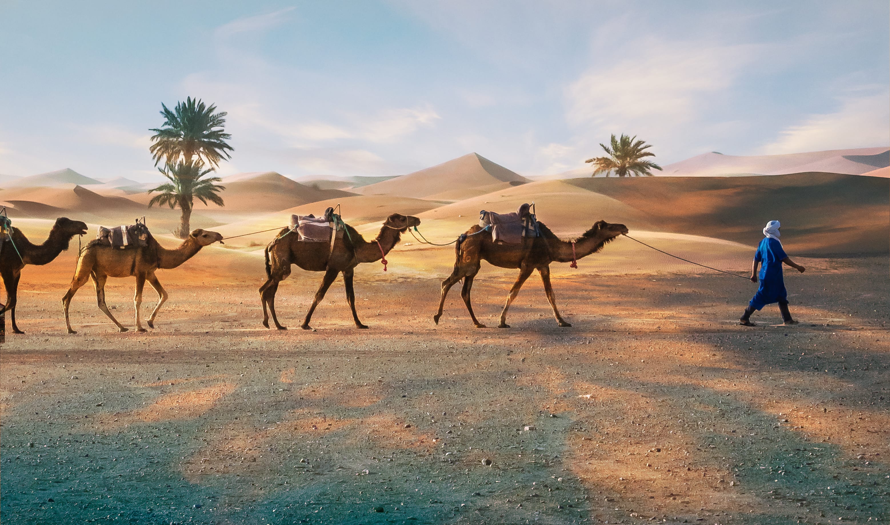 Südmarokko - Atlas & Wüste ab Marrakesch: Marokko Merzouga Berber mit Kamele