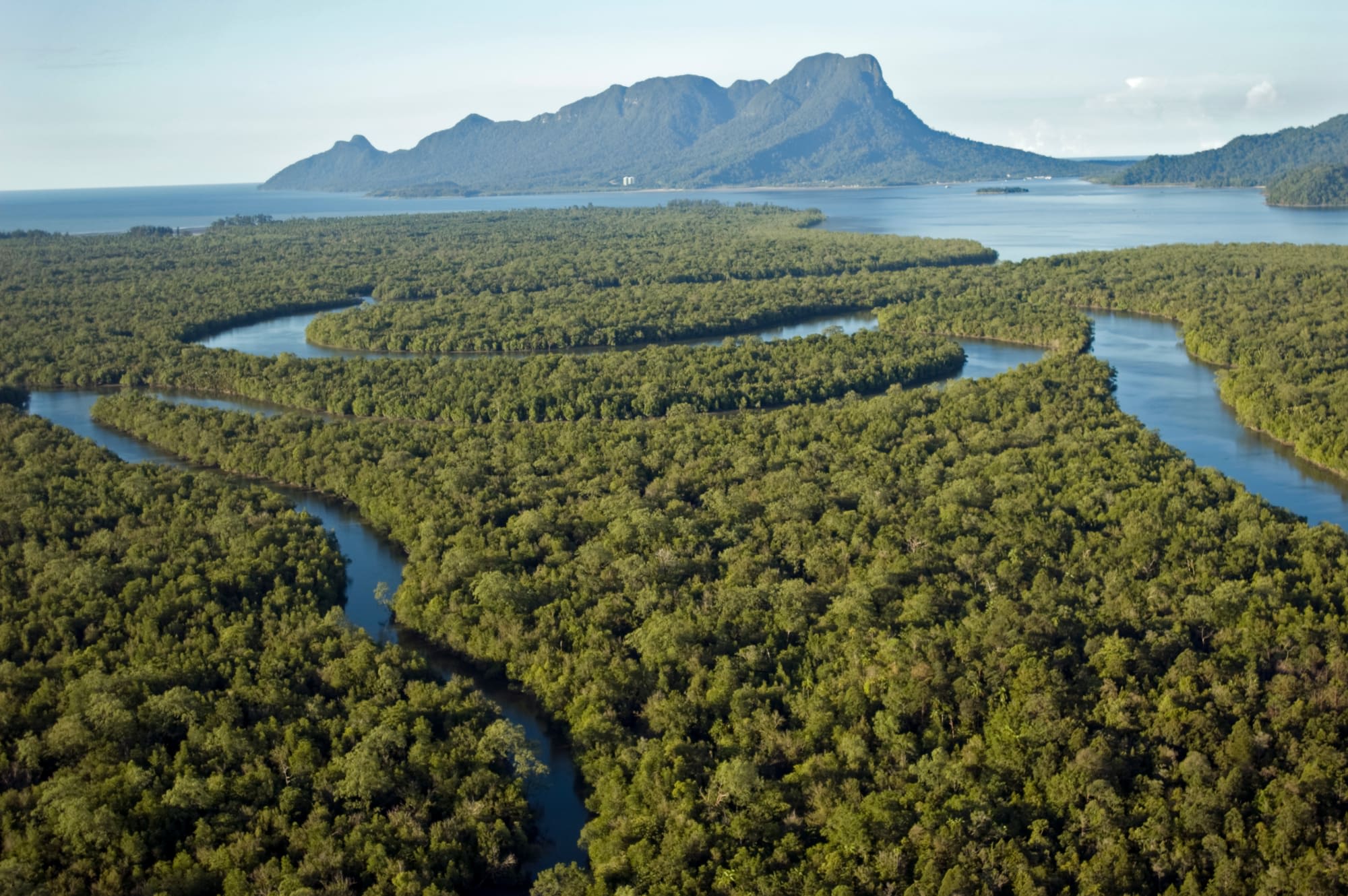 Natur Pur Sarawak ab Kuching: Borneo Sarawak Flusslandschaft