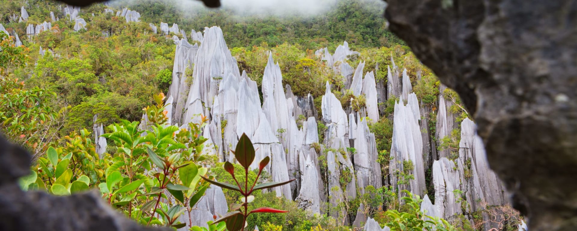 Mulu Nationalpark: Borneo Sarawak Mulu Nationalpark