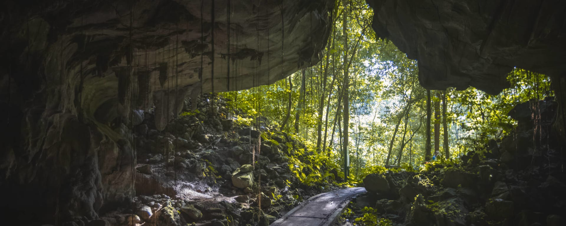 Mulu Nationalpark: Borneo Sarawak Mulu Nationalpark 
