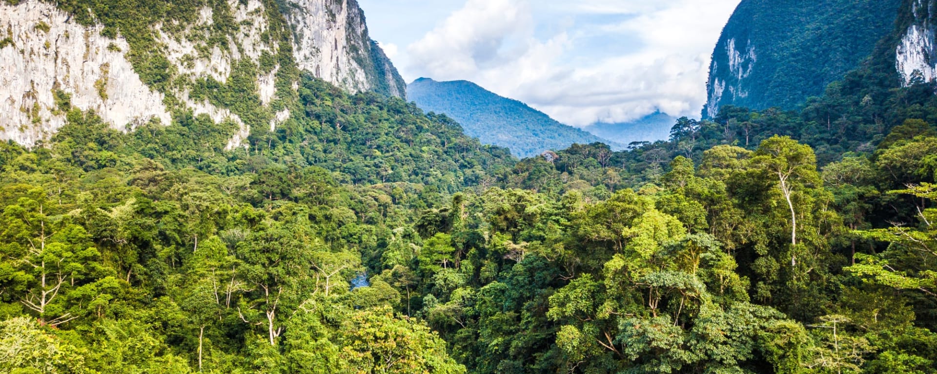 Mulu Nationalpark: Borneo Sarawak Mulu Nationalpark