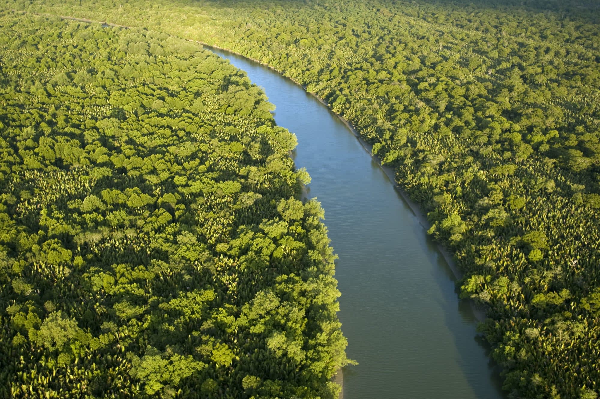 Natur Pur Sarawak ab Kuching: Borneo Sarawak Luftaufnahme